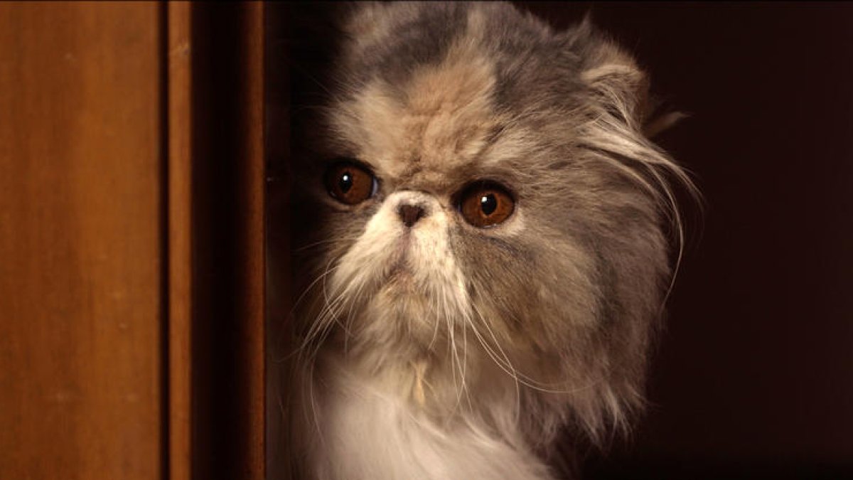 El segundo capítulo del caso acerca a la policía a la solución.