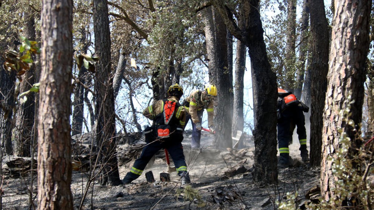 Controlat l'incendi de les Gavarres iniciat divendres
