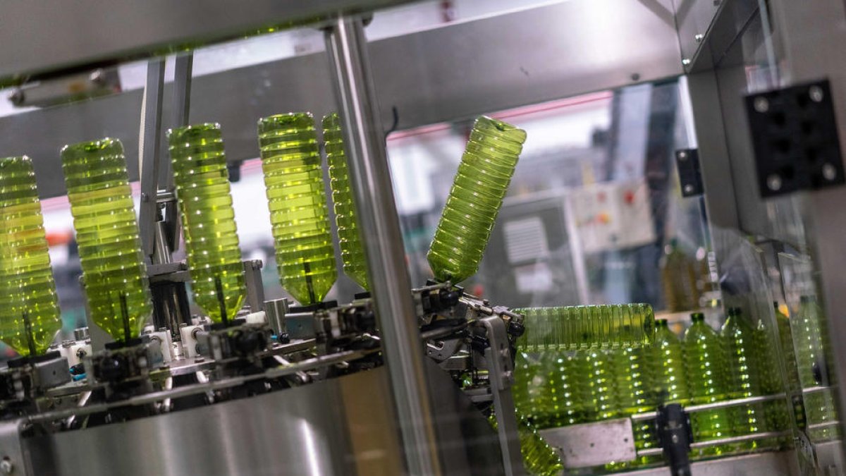 Los productores de aceite de oliva se enfrentan a una nueva campaña de baja cosecha.