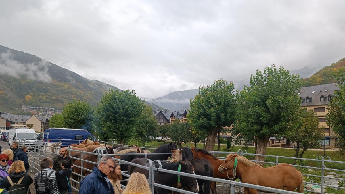 Alguns dels visitants que va rebre ahir Vielha durant la fira ramadera.
