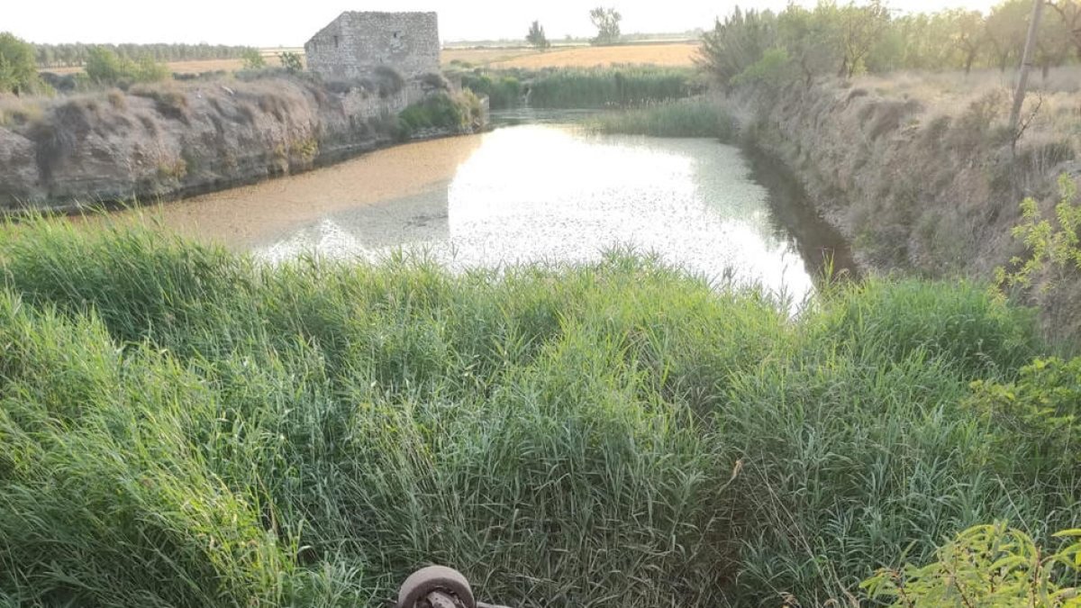 Vehicle bolcat ahir en una sortida de via a Belianes.