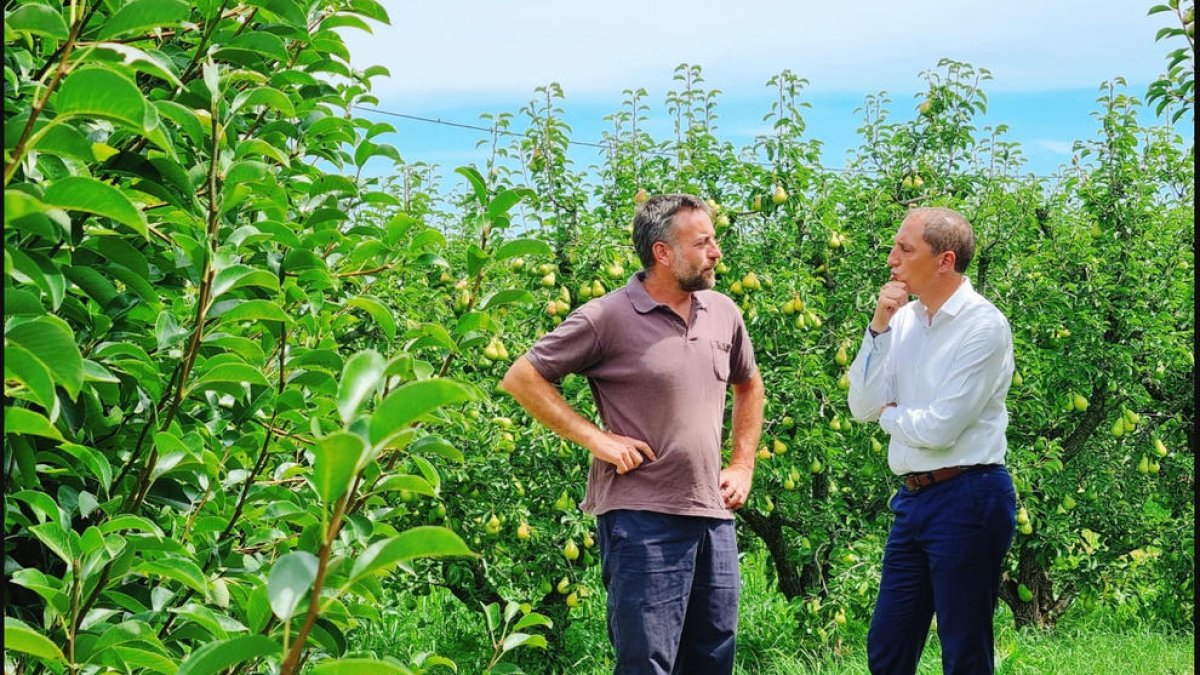Crespín junto al productor Marc Vives en su finca de L’Horta.