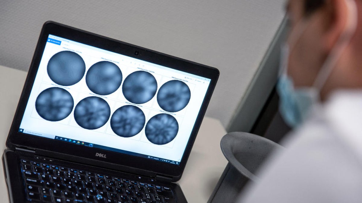 Desarrollan una nueva molécula para el tratamiento dirigido contra el cáncer