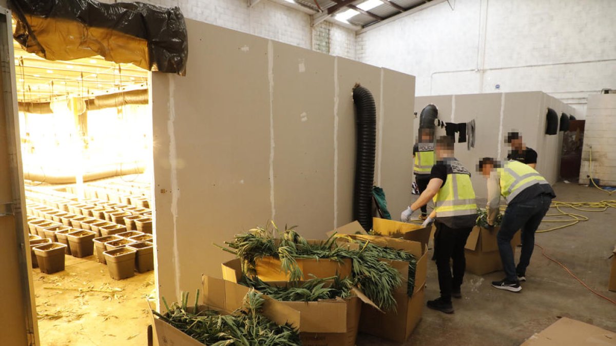 Imatge de l’interior de la nau, desmantellada el 22 de març.