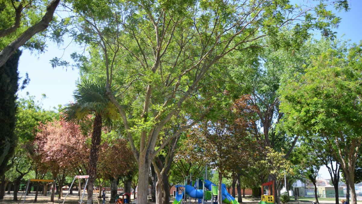 Imagen de archivo del Parc Municipal de Mollerussa.