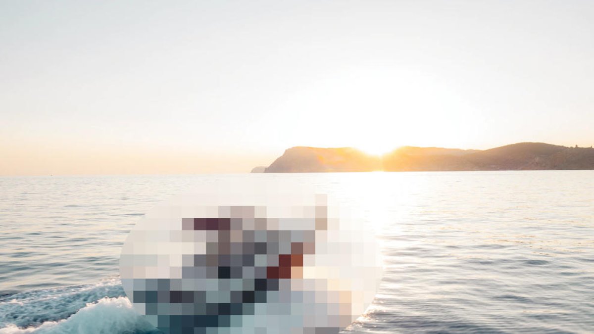 Què és una narcollanxa (i què hi fa una a Lleida?)