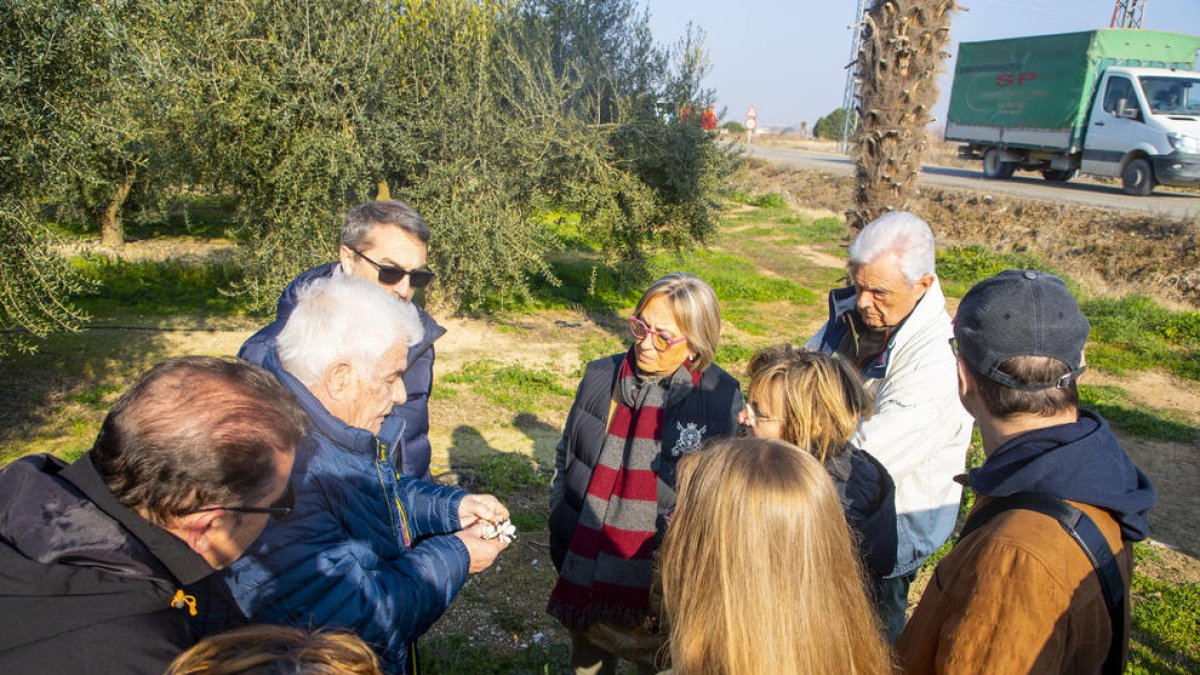 Torres de Segre inicia visitas guiadas a campos con las primeras flores