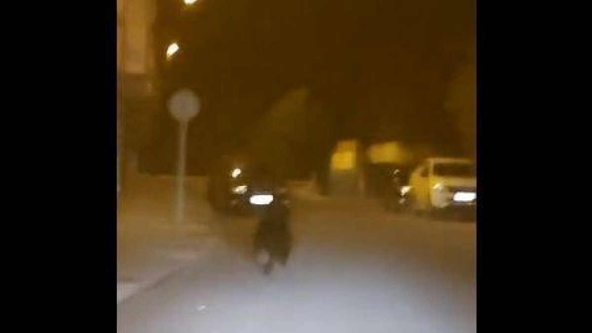 Vídeo | Un taxista grava un os al centre de Ponferrada