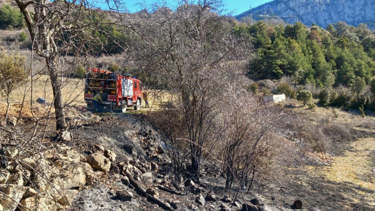 Bomberos tras controlar ayer al mediodía el incendio en la zona de L’Alzina d’Alinyà.