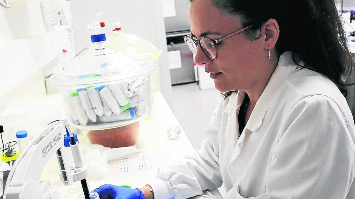 Anna Molet-Rodríguez.