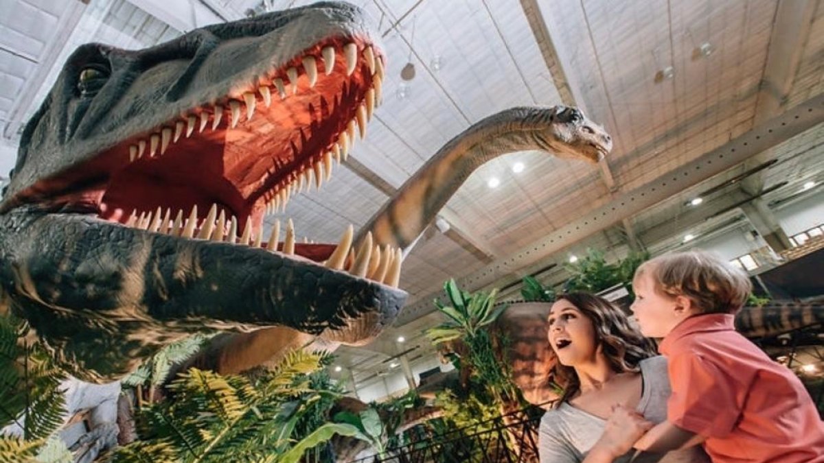 Trenta dinosaures animatrònics, el cap de setmana a Lleida