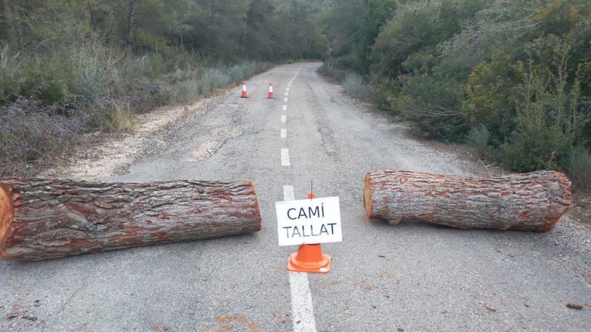 La vía que une Bovera y La Palma, cerrada en febrero de 2022.