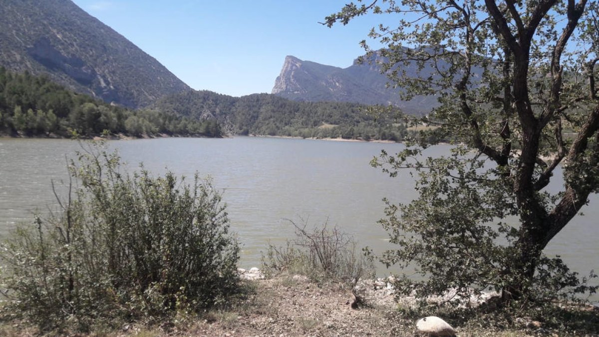 L’embassament d’Oliana vist des de Coll de Nargó a començaments del mes de juliol passat.