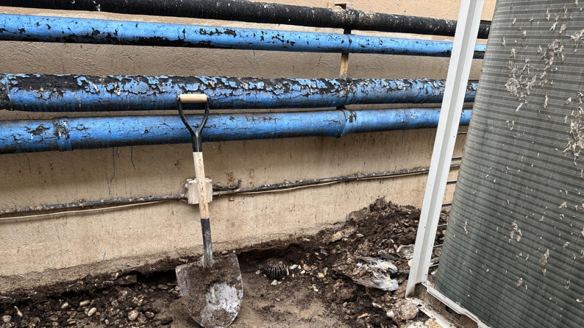 Els treballs per netejar la brutícia de colom a la biblioteca de Balaguer.