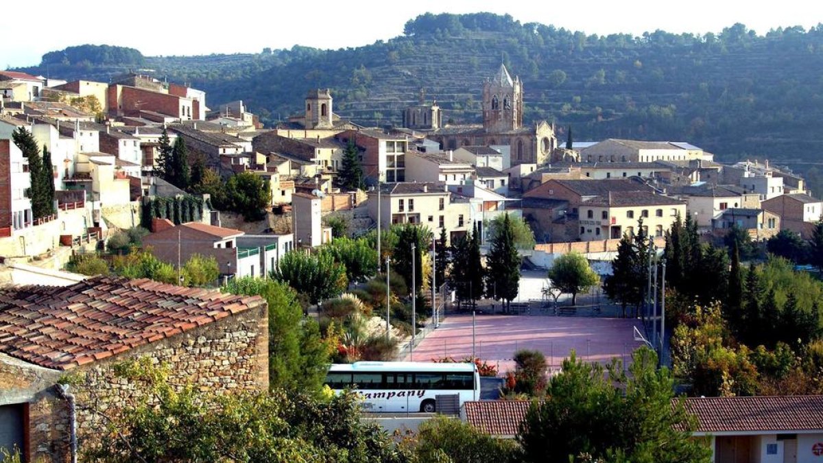Una vista de Vallbona de les Monges.