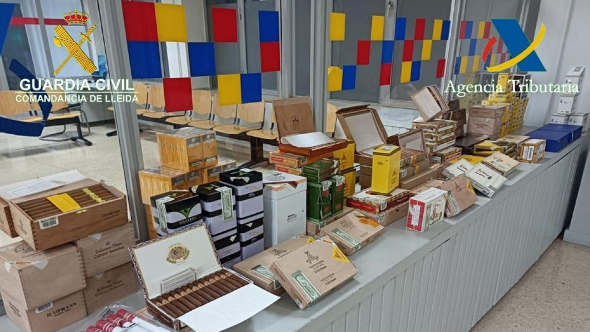 Imagen de los puros que fueron aprehendidos.