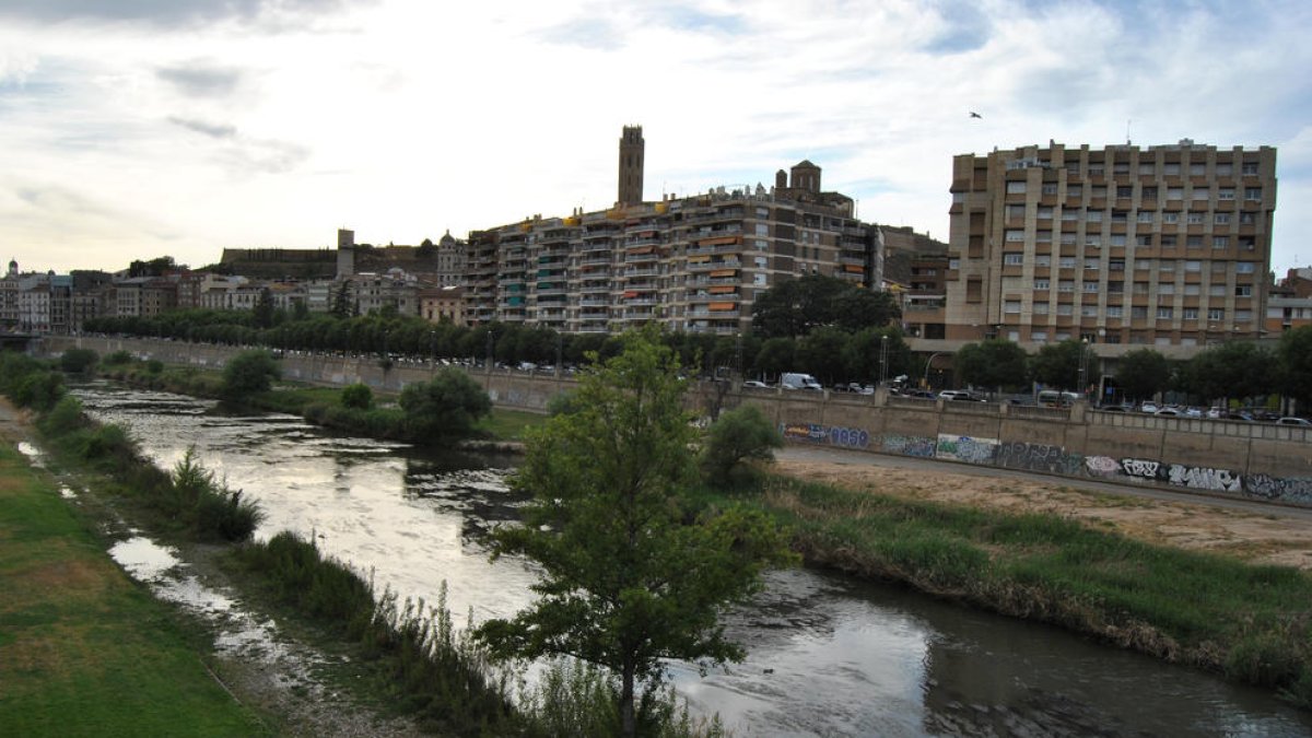 El Segre multiplica su caudal en Lleida - El caudal del Segre en Lleida ciudad aumentó ayer a 22 metros cúbicos por segundo, aunque luego bajó a menos de 9. La crecida está vinculada a las sueltas controladas que hace la CHE como parte del ca ...