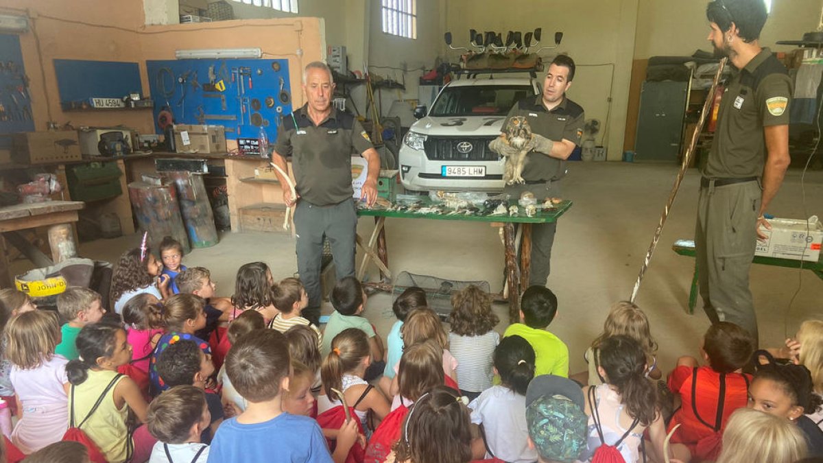 Una de les activitats de les colònies urbanes Gric i Groc.