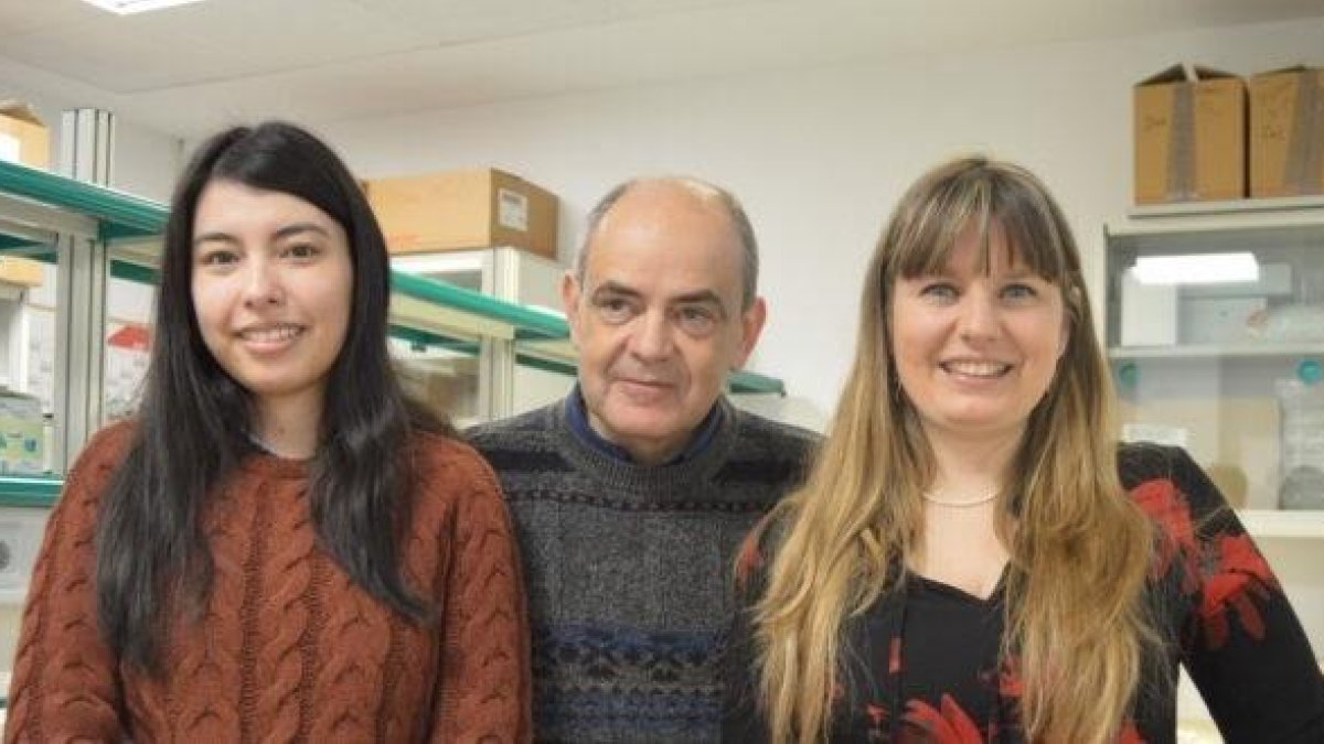 Científics detecten la unió de dos proteïnes que intervenen en el càncer.