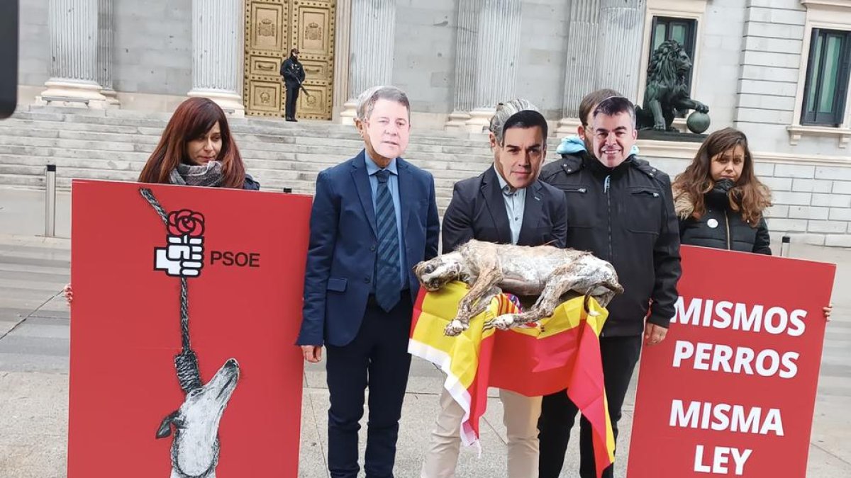 Porten davant del Congrés un llebrer mort per exigir al PSOE la retirada de la seua esmena sobre gossos de caça