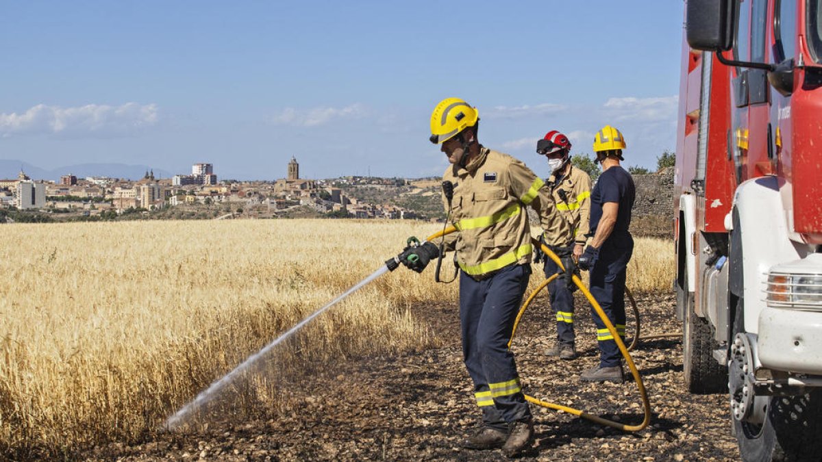 El fuego en la Segarra se declaró a las 16.20 horas.