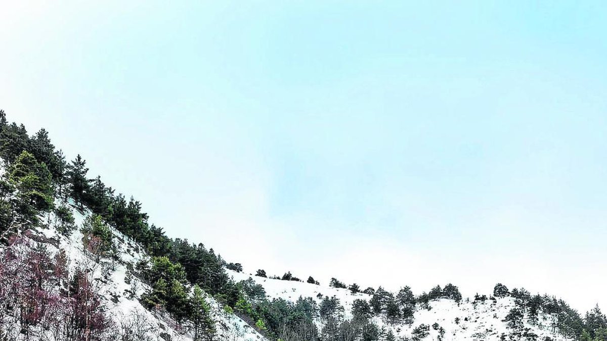 Imatge d’arxiu de la borda de Socampo, al municipi d’Alt Àneu.