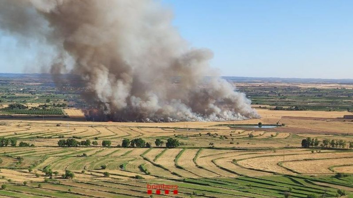 Espectacular incendi a les afores de Lleida