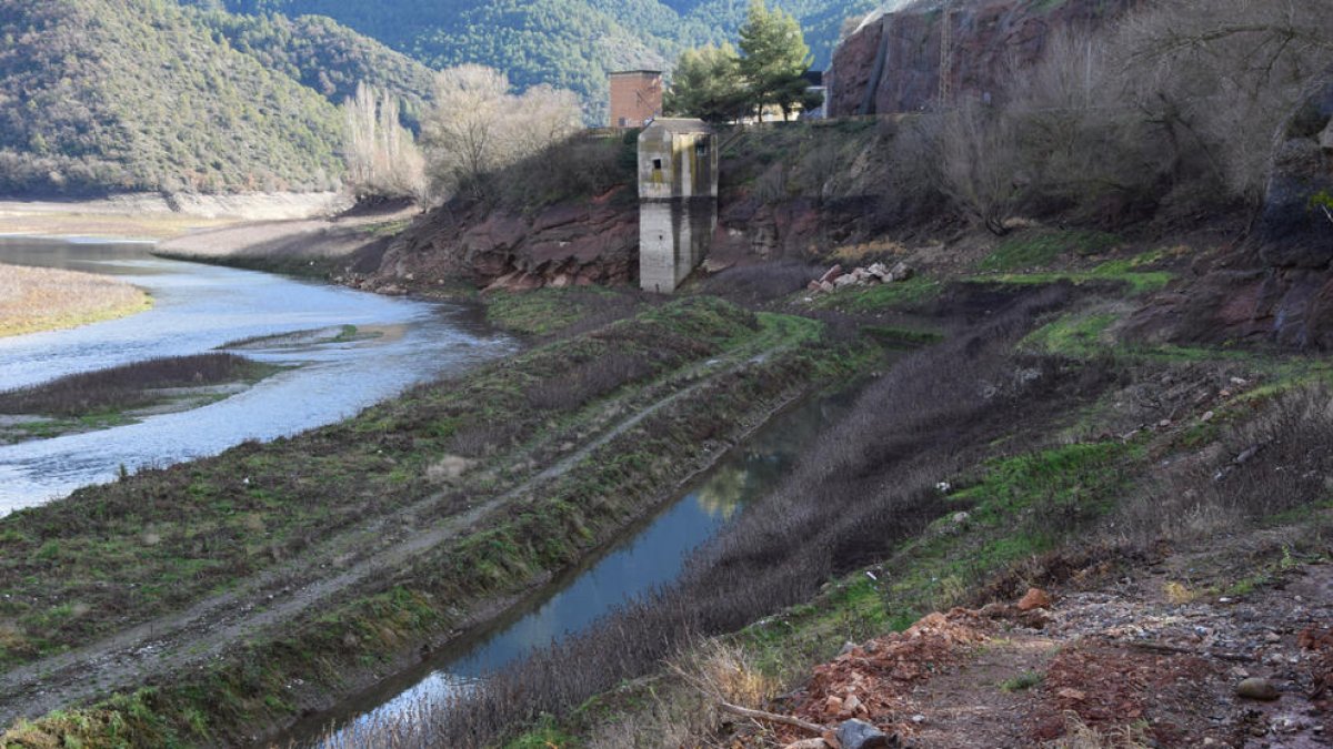 El fons sec de la cua de l’embassament d’Oliana, al Segre, on ha crescut vegetació.