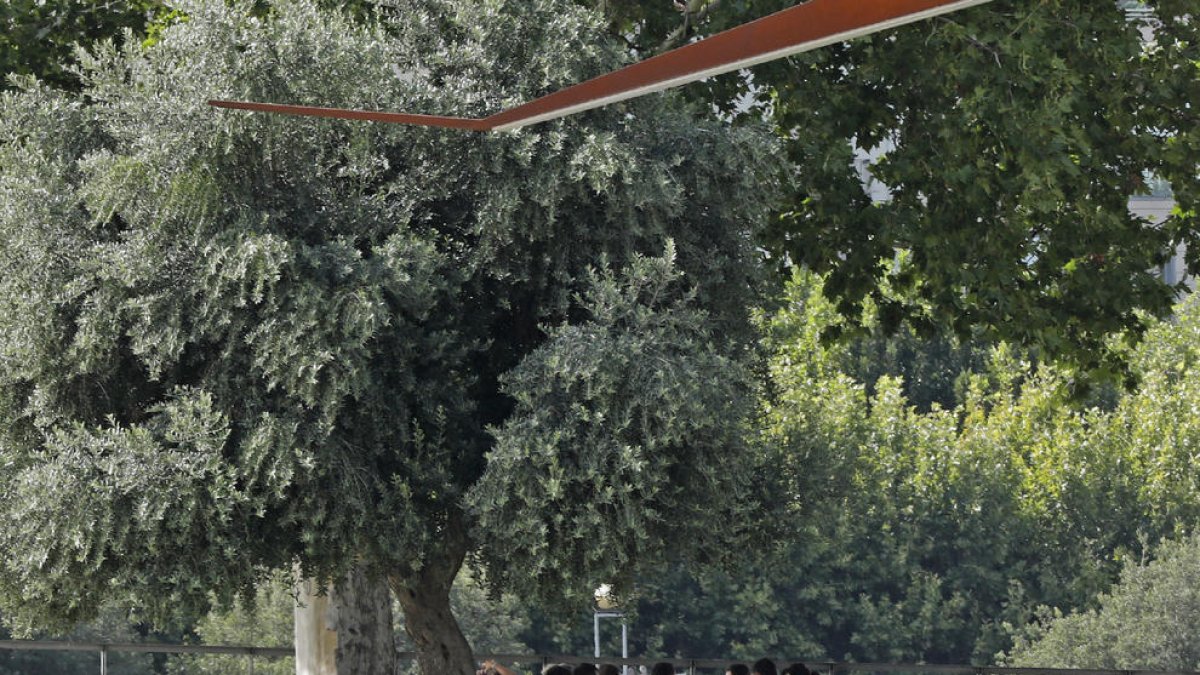 Un grupo de jóvenes buscando ayer la sombra ante la jornada calurosa en Lleida ciudad.