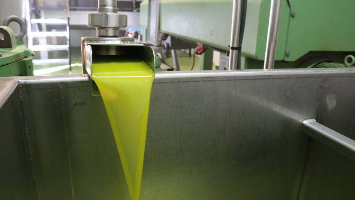 La producción ha caído este año prácticamente a la mitad en todo el Estado por la sequía.