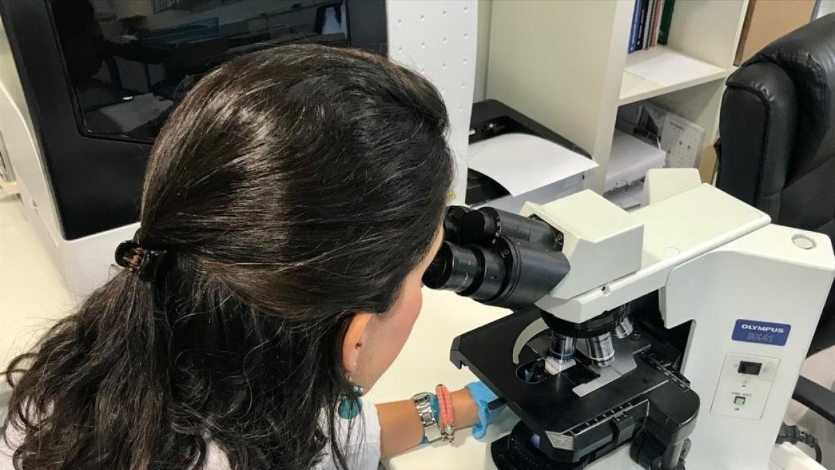 Imatge d'arxiu d'una investigadora.