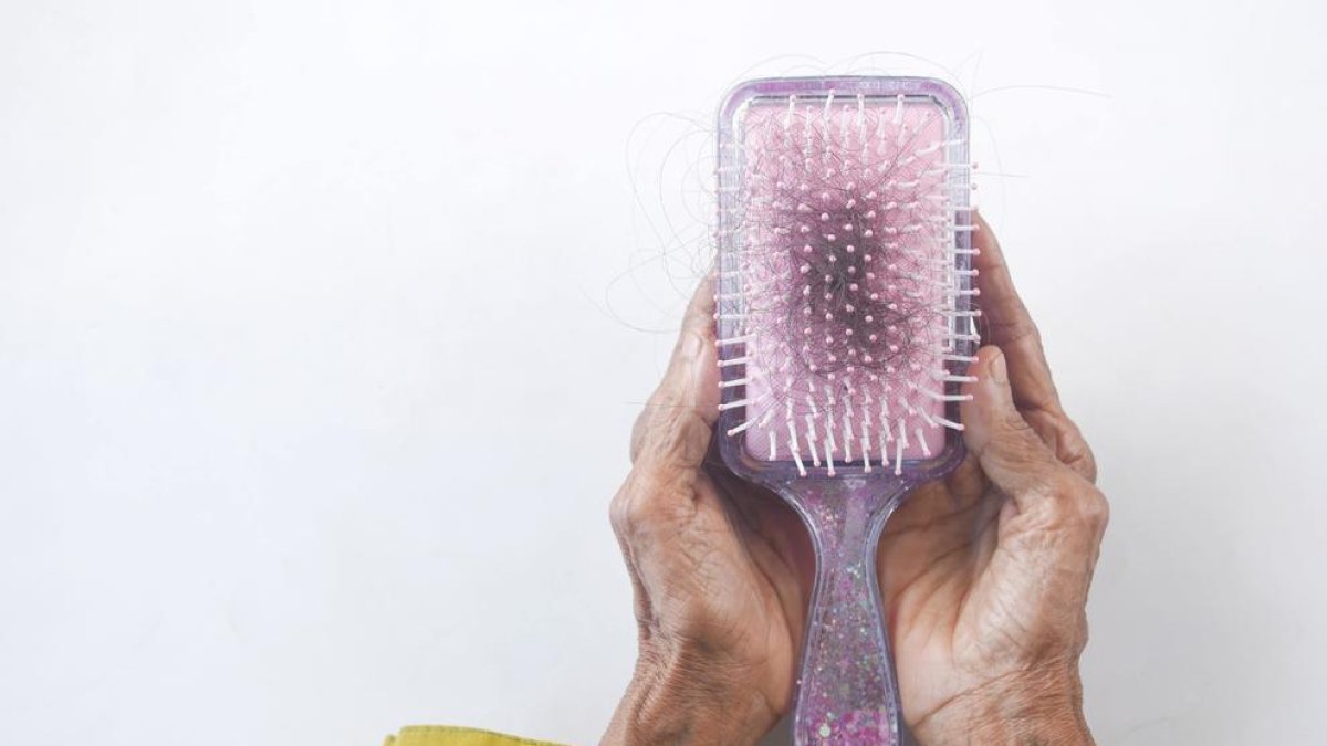 ¿Por qué se cae más el pelo en otoño?