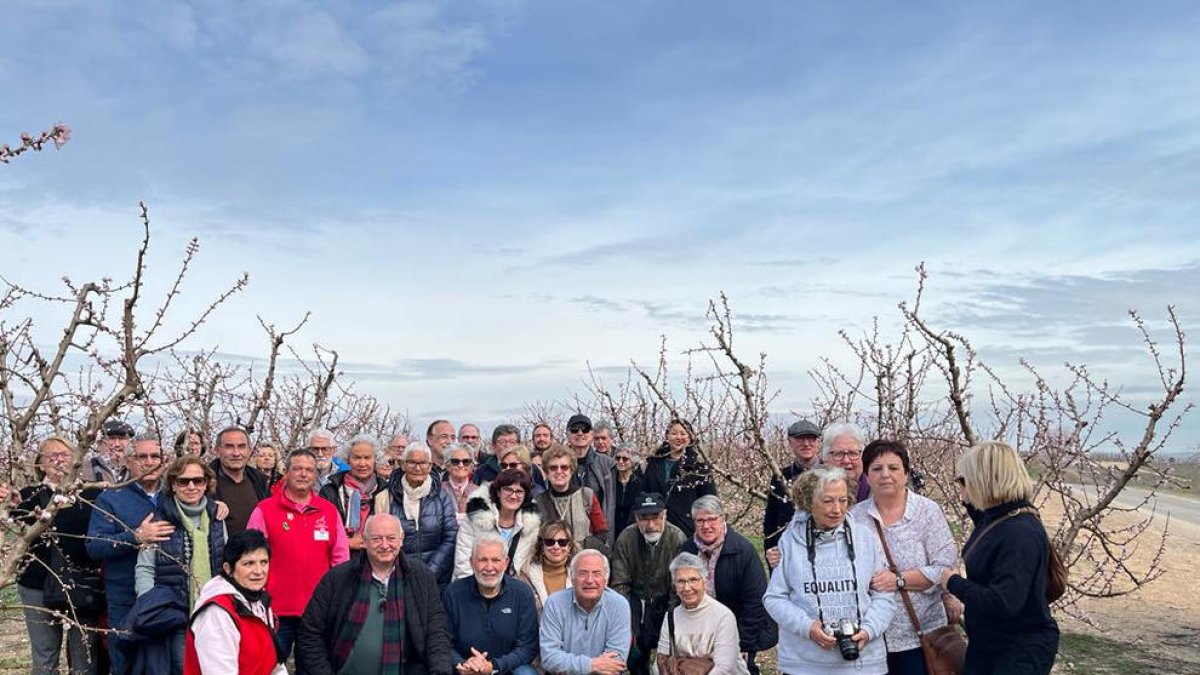 Els primers turistes que van recórrer els camps d’Aitona.