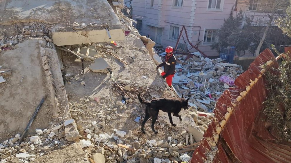 Rescatan con vida a una mujer en Turquía unas 60 horas después del seísmo