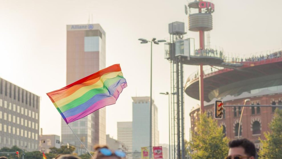 Detinguts 31 supremacistes per atacar una marxa LGTBIQ+ a Idaho