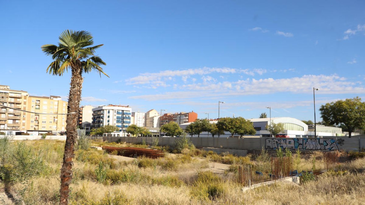 Estado actual del solar destinado a las torres, lleno de maleza y árboles.