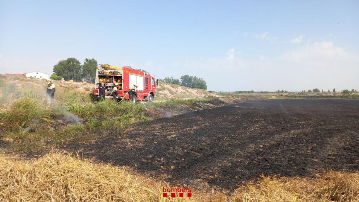Incendi a Tornabous - Sis dotacions de Bombers van treballar ahir en l’extinció d’un incendi que va cremar dos hectàrees de camps d’ordi per collir a Tornabous.