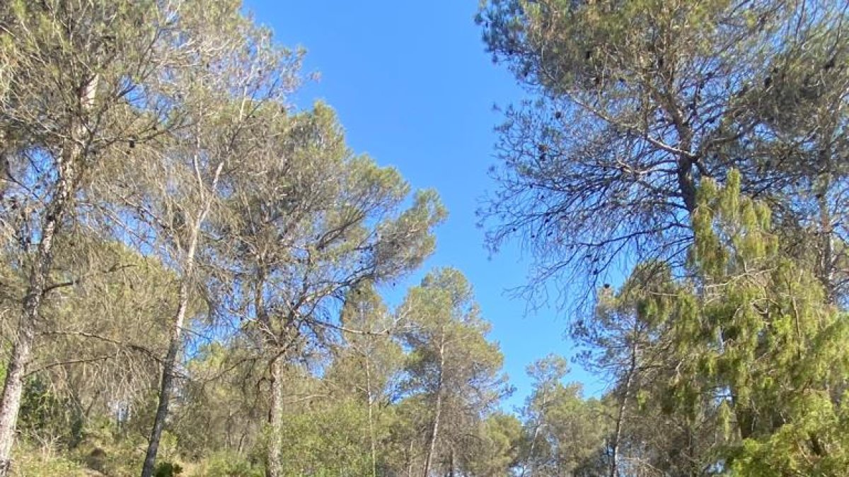 Participantes del raid durante el tramo de ciclismo de montaña. A la derecha, la celebración en el podio de uno de los equipos ganadores de la competición.