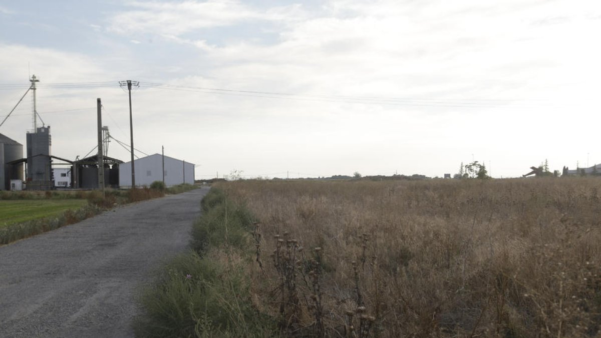 Imatge d’arxiu de sòl industrial de l’Incasòl a Almacelles.