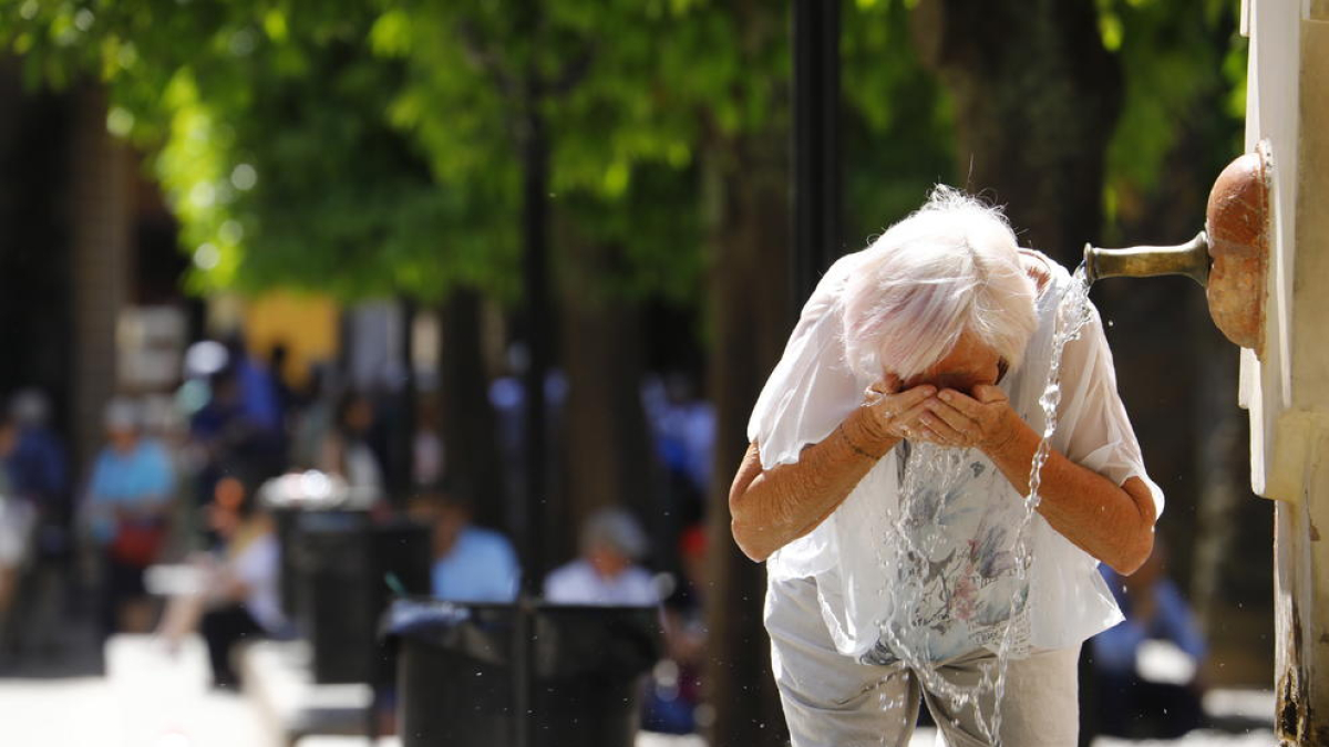 La calor extrema va disparar la mortalitat un 20 % entre maig i agost de 2022