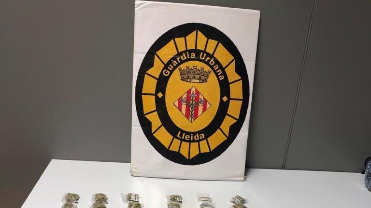 Detenido un hombre con 29 bolsas de marihuana en Lleida