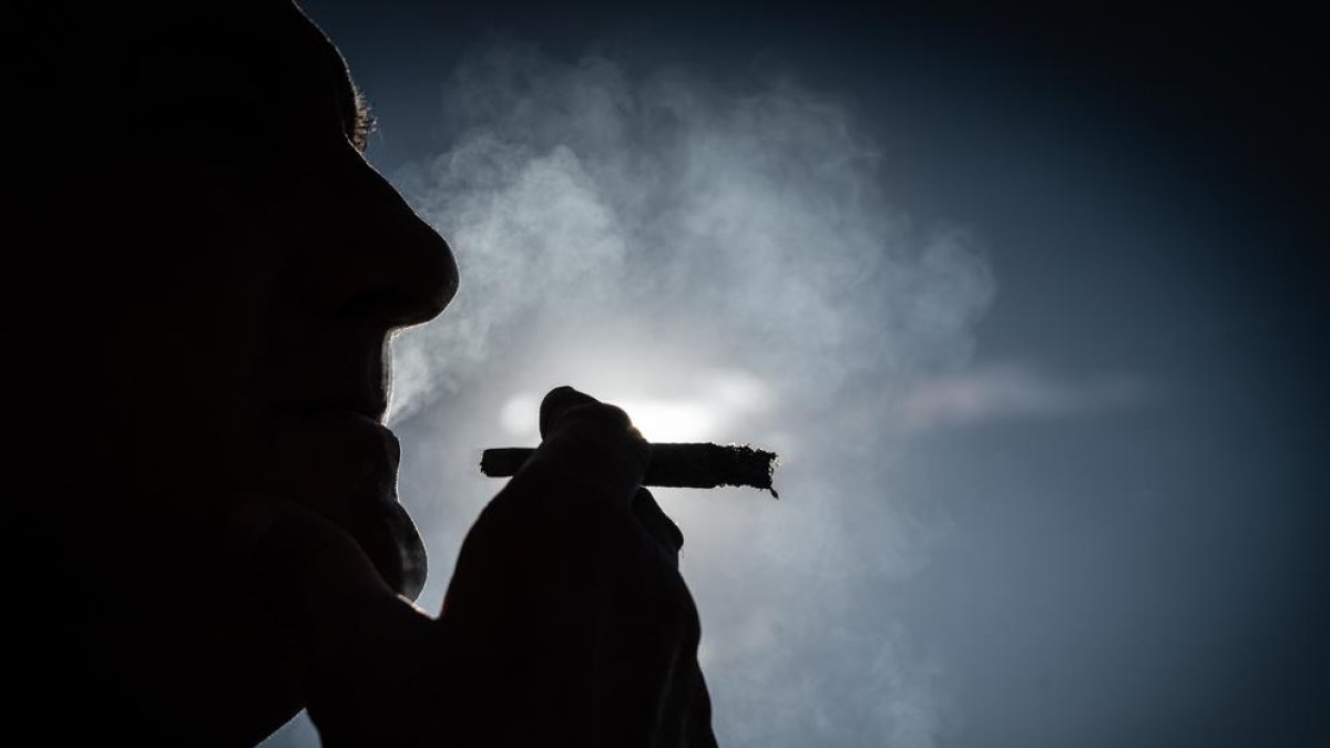 Descobreixen un circuit cerebral que podria ser objecte per tractar l'addicció