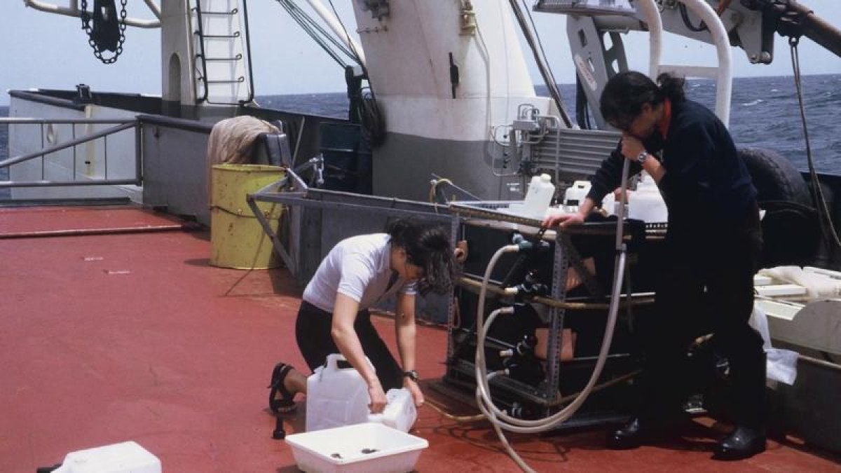 Científiques a 'El escarabajo verde'