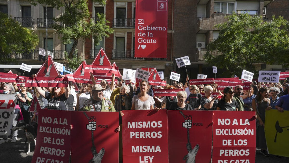 Animalistas piden que PSOE retire la enmienda a la ley de protección animal