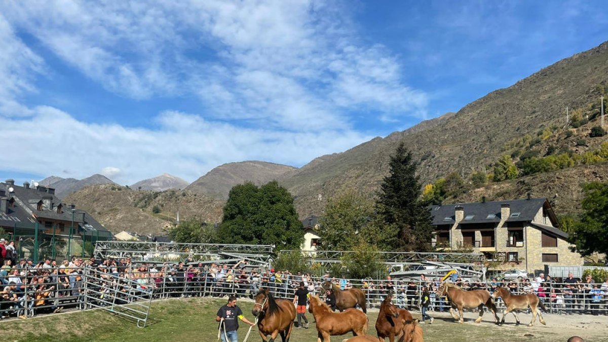 Exposició sobre el cavall pirinenc català a Esterri.