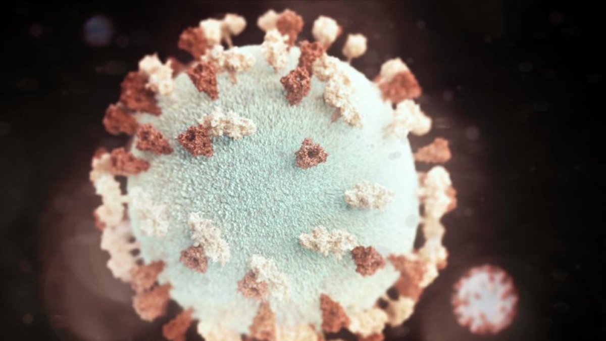 El nuevo fármaco contra el Alzheimer puede impedir que las fibrillas beta amiloides flotantes dañen el cerebro