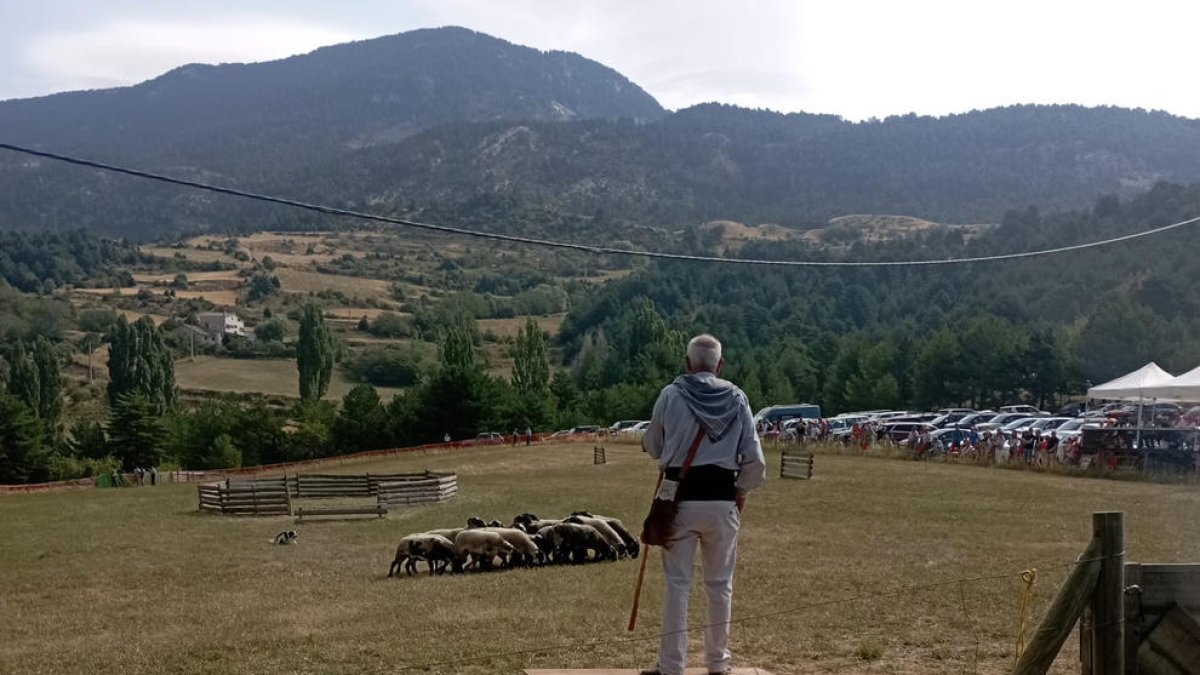 Un momento del concurso de ‘gossos d’atura’ de Odèn.