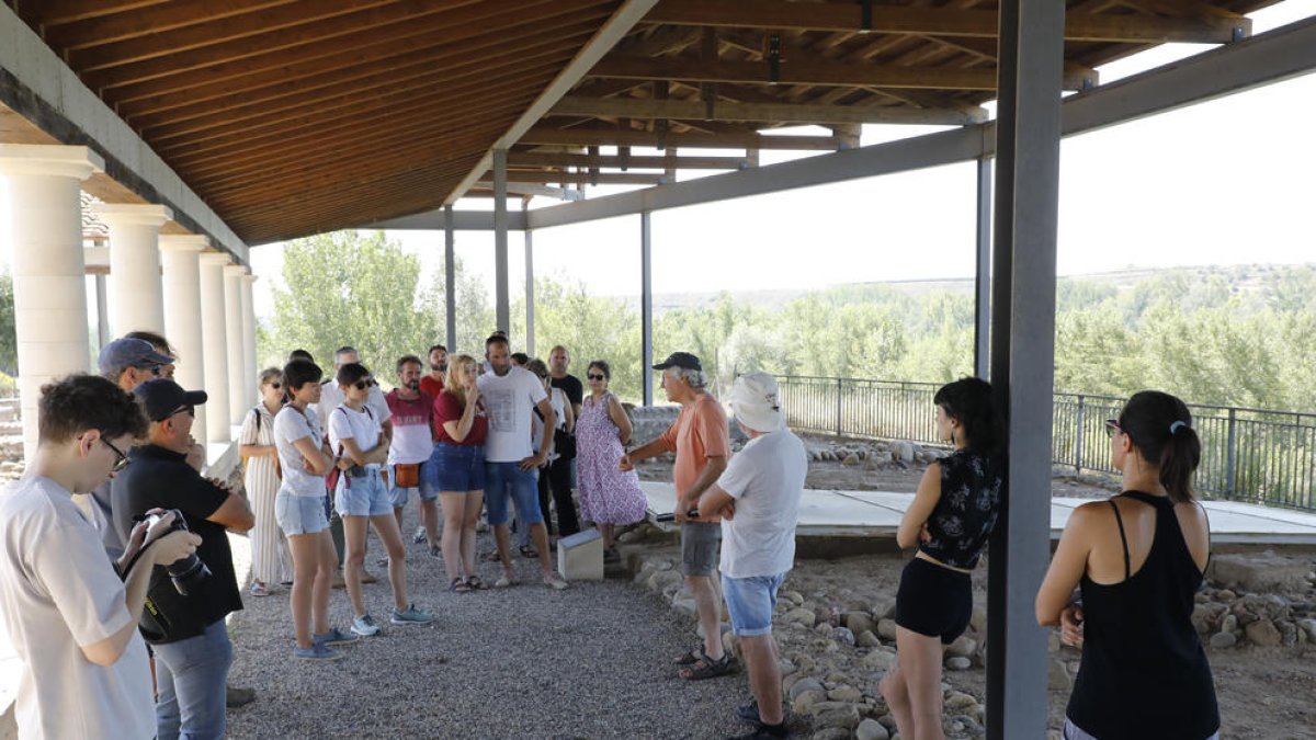 Unes 60 persones van assistir a les visites a la vil·la romana del Romeral de Albesa.