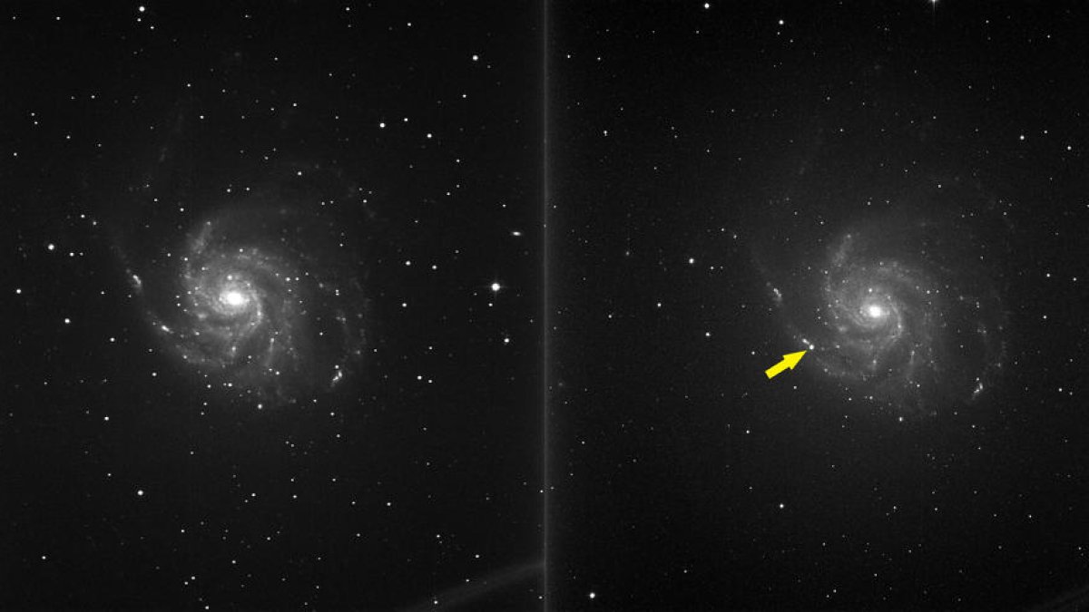 Supernova al Molinet.