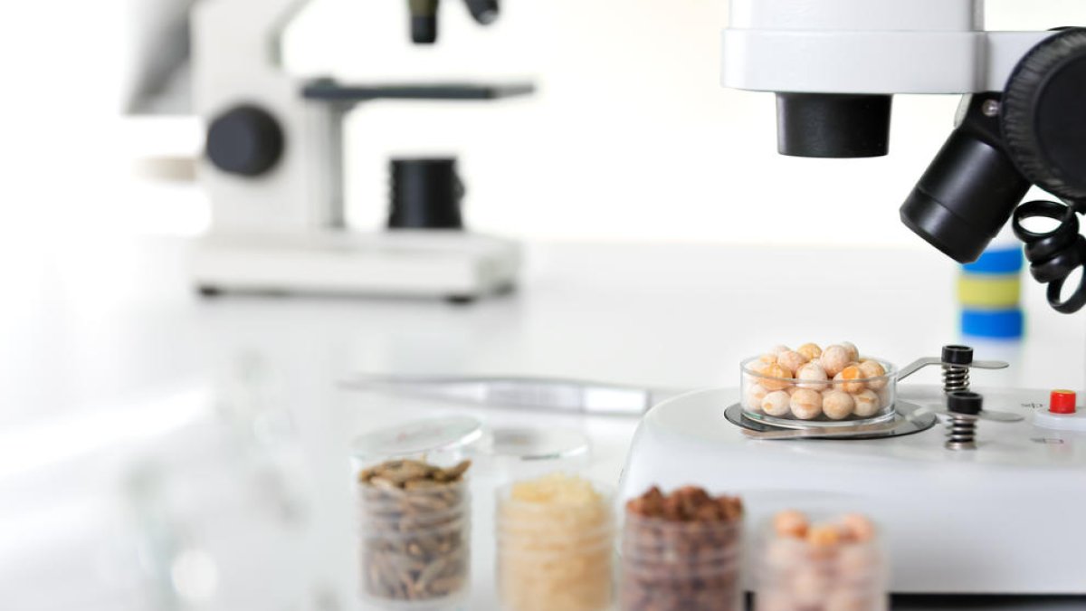 Proteïnes alternatives, fermentació i upcycling, entre les tendències en el disseny de nous aliments en el sector agroalimentari